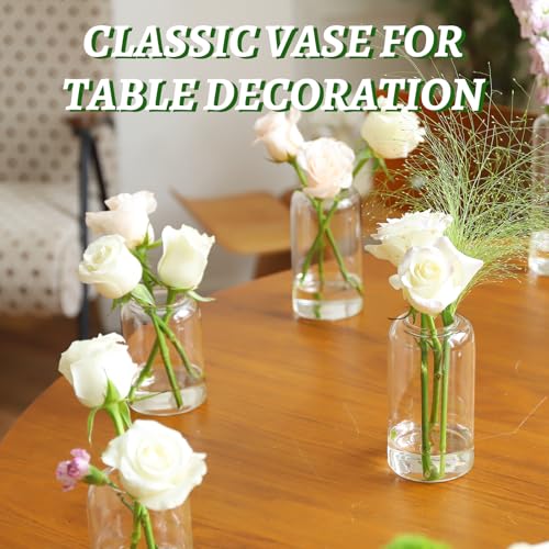 Glass Bud Vases Set of 24, Clear Flower Vase for Centerpieces, Small Vases for Flowers, Decor Centerpiece for Bathroom, Decorative Vases for House Warming