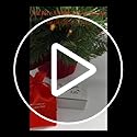 It's A Wonderful Life Christmas Ornament Bell on Ribbon Gift Boxed Movie Souvenir Steel Metal Keepsake Decoration Made in the USA