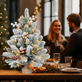 2FT Small Christmas Tree,Flocked Artificial Mini Christmas Tree with Lights,Tabletop Xmas Tree with Ornaments,Christmas Decoration for Party by DNKMOR