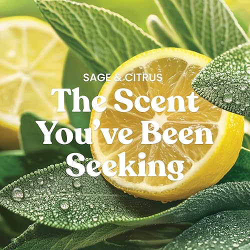 Yankee Candle Sage & Citrus, Scented Candle, 14.5oz 3-Wick Candle Jar with up to 40 Hours Burn Time, Giftable