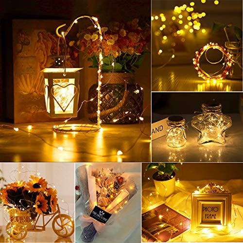 innolife 6 Pack LED Fairy String Lights Battery Operated with Remote Control & Timer, 10 Ft 30 LED Copper Wire Twinkle Lights for Bedroom Christmas Wedding Party Indoor Outdoor Decoration