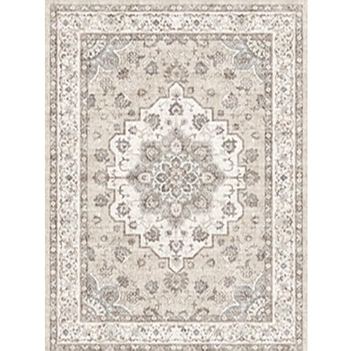 9x9 Living Room Square Rug Low Pile Stain Resistant Thin Rugs for Bedroom