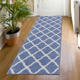 SHACOS Entryway Runner Rugs 20"x59" Dirt Trapper Kitchen Runner Rug Washable Rug Runner Non Slip Rubber Backing Hallway Runner Rug Floor Mats, Light Blue