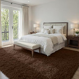 5x8 Fluffy Shag Area Rugs for Living Room Bedroom: Soft Plush Carpet Brown