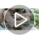 Green Philosophy Co. Monstera Leaf™ Pillow - Mossy Earth - Large Soft Plant-Shaped Plush Cushion for Couch, Bed, or Reading Nook - Cute & Unique Nature-Inspired Decor Throw Pillow