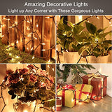ODEETRONIC Clear Christmas Lights String, 21.63ft 100 Count Incandescent Brown Wire String Lights, UL Certified Outdoor Christmas Light, Connectable Indoor Tree Lights for Wedding Party, Warm White