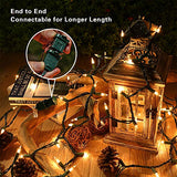 ODEETRONIC Christmas Lights, 21.63ft 100 Count Incandescent Clear Christmas Lights, UL Certified Outdoor Mini Clear Light Connectable, Green Wire Tree Light Indoor for Home Party Decor, Warm White