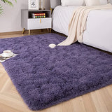 Foxmas Soft Fluffy Area Rugs for Bedroom Kids Room Plush Shaggy Nursery Rug Furry Throw Carpets for Boys Girls, College Dorm Fuzzy Rugs Living Room Home Decorate Rug, 3ft x 5ft, Grey Purple
