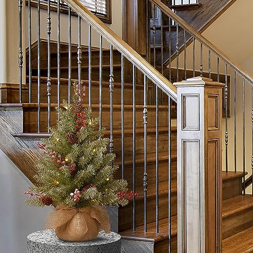 National Tree Company 2 ft Pre-Lit Flocked Dunhill Fir Mini Artificial Christmas Tree, 15 Clear LED Lights, 75 Tips, Pinecones, Red Berries, Timer, Burlap Base, Green