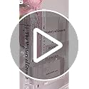 Puransen Clear Book Flower Vase - Floral Bookshelf Decor, Acrylic Flower Holder & Space-Saving Organizer, Modern Home Office/Study Desk Minimalist Aesthetic (Not Including Flowers)