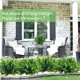 summer flower 10 Pack Artificial Boxwood Stems for Outdoors Unfading in The Sun Plastic Faux Plants Fake Foliage Shrubs Greenery for Garden Office Patio Wedding Farmhouse Indoor Decoration
