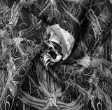 Tapzen Gothic Black and White Tapestry Wall Hanging - Dark Skeleton Horror Aesthetic for Bedroom, Living Room or Dorm (40 x 30 inches)