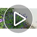 TSTWETO Artificial Plants Outdoor, 22 Bundles Fake Flowers UV Resistant Outdoor Artificial Lavender Flowers, Plastic Faux Plants for Porch Garden Planter Yard Window Box