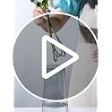 Clear Glass Flower Vase with Gold Mouth for Centerpieces Home Wedding Decoration (1, Large 5.2" x 9.9“)
