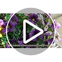Fake Artificial Flowers for Outdoors, 4 Pcs Faux Hanging Pansy Flowers Spring Summer Decor, UV Resistant Fake Plants Silk Flower for Planter Front Door Porch Patio Yard Garden(Purple Yellow White)