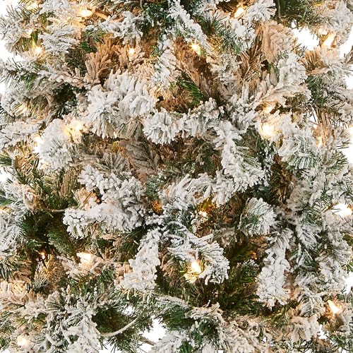 National Tree Company 6 ft Pre-Lit Flocked Acacia Slim Artificial Christmas Tree, 250 Clear Lights, 512 Tips, Includes Stand, Green
