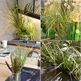 VANTREE 8PCS Artificial Plants, Shrubs Wheat Grass Greenery Stems for Home Decor, Fake Tall Grass Plant for Outdoor Indoor Decor