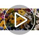 Artificial Fake Flowers for Outdoor UV Resistant,16 Bundles Silk Outside Plants Decoration for Hanging Planters, Daisy Eucalyptus Faux Flower Spring Summer Garden Yard Patio Balcony Home