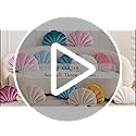 XIAIJIA Seashell Decorative Pillow Shell Shaped Throw Pillow 3D Insert Beach Pillow Soft Velvet Pillow Sea Ocean Decoration Couch Bed Pillow Cushions(Pink,14 X 11 inch)