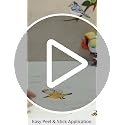 DILIBRA Hummingbird on The Tree Branch Wall Sticker, Green Leaf and Flying Bird DIY Art Vinyl Wall Decal, Self-Adhesive Wall Decoration for Garden Living Room Bedroom Kitchen Playroom Nursery Room