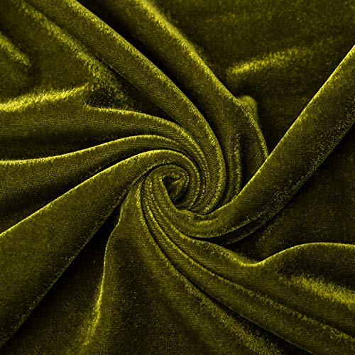 Glory Season Velvet Throw Pillow Cover Soft Decorative Luxurious Solid Square Cushion Case for Sofa Couch Bedroom Farmhouse,Pack of 2, 18 x 18 Inches, Olive Green