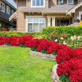 6 Bunches UV Resistant Red Artificial Flowers Geraniums – Lifelike Silk Fake Flowers for Outdoors | No Fade, No Watering, Full & Bigger Heads for Garden, Patio, Balcony, Porch Decor