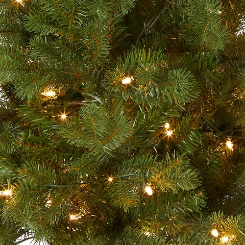 National Tree Company 3 ft Pre-Lit Hampton Spruce Mini Artificial Christmas Tree, 100 Clear Lights, 579 Tips, Green Growers Pot