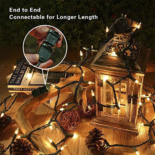 Hopolon 2 Pack 13ft 50-Count Clear Green Wire Christmas Light Set,Incandescent Mini Christmas Lights, Connectable 120V Clear Tree Lights for Wedding, Bedroom, Classroom, Porch Decor(2pcs Warm White)