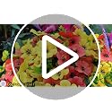 20 Bundles Artificial Flowers for Outdoors‌ and 6 Faux Butterflies | UV Resistant and No Fade, Maintenance-Free, ‌‌Fake Flowers for Garden Patio Porch Home Gifts Festivals Decor, Orange Yellow