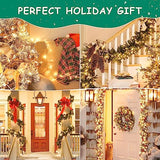HEYFUNi Clear Christmas Lights Set,50 Count 13Feet Incandescent Bulb Mini String Lights for Christmas Tree Holiday Garland Party Weeding Xma Home Indoor&Outdoor Decorations,White Wire