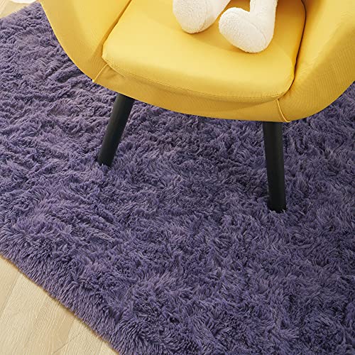 Foxmas Soft Fluffy Area Rugs for Bedroom Kids Room Plush Shaggy Nursery Rug Furry Throw Carpets for Boys Girls, College Dorm Fuzzy Rugs Living Room Home Decorate Rug, 3ft x 5ft, Grey Purple