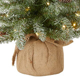 National Tree Company 2 ft Pre-Lit Flocked Mini Artificial Christmas Tree, 50 Clear LED Lights, 75 Tips, Pinecones, Burlap Base, Timer, Green