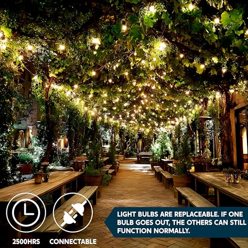 Joiedomi Clear Christmas String Lights Indoor,100 Count Mini White Fairy Light Outdoor,19.4 FT Decor for Patio Dorm Classroom Bedroom Holiday Wedding Party Garland Birthday Festival,Green Wire