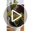 Relexome White Ceramic Bow Vase Unique Cute Decorative Bouquet Flower Vases 9.64 in Summer Home Decor Vase