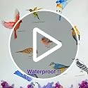 DECOWALL DS2-8042 Little Birds Wall Stickers Wall Decals Peel and Stick Removable Wall Stickers for Kids Nursery Bedroom Living Room (Small)