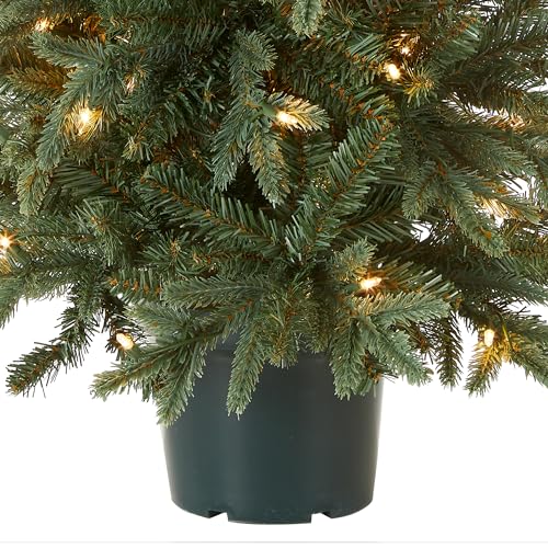 National Tree Company Artificial Christmas Tree For Entrances | Includes White Lights and Pot | Everyday Collections - 3 ft