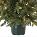 National Tree Company Artificial Christmas Tree For Entrances | Includes White Lights and Pot | Everyday Collections - 3 ft