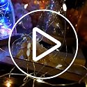 LIIDA LED Fairy String Lights, 12-Pack 20 Micro Lights On Silver Copper Wire (Batteries Include) for DIY Wedding Centerpiece, Mason Jar Craft, Christmas Tree, Garlands, Party Decoration (Warm White)