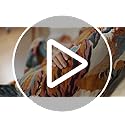 VANJOROY Boho Throw Blanket, 100% Organic Cotton Ultra Soft 50" x 60" Throw for Couch and Bed - Skin-Friendly Embroidery Cozy All Season Rustic Floral Decor Chair Blanket -Beige