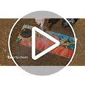 Evergreen Sassafras Doormat Insert Bundle & Tray Set of 5, Spring Summer Fall Winter Interchangeable Entrance Door mats Indoor and Outdoor Welcome Mat 30 x 18 Tray Non Slip Backing Low Profile