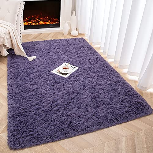 Foxmas Soft Fluffy Area Rugs for Bedroom Kids Room Plush Shaggy Nursery Rug Furry Throw Carpets for Boys Girls, College Dorm Fuzzy Rugs Living Room Home Decorate Rug, 3ft x 5ft, Grey Purple