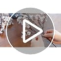 Babys Breath Artificial Flowers, 8 Bundles White Real Touch Fake Flowers Silk Flowers Bulk for Vase Home Office Wedding Spring Indoor Outdoor Centerpiece Table Party Decorations
