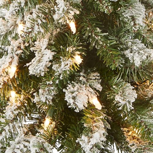 National Tree Company 3 ft Pre-Lit Flocked Downswept Forestree Mini Artificial Christmas Tree,50 Clear Lights, 198 Tips, Metal Plate Base, Green