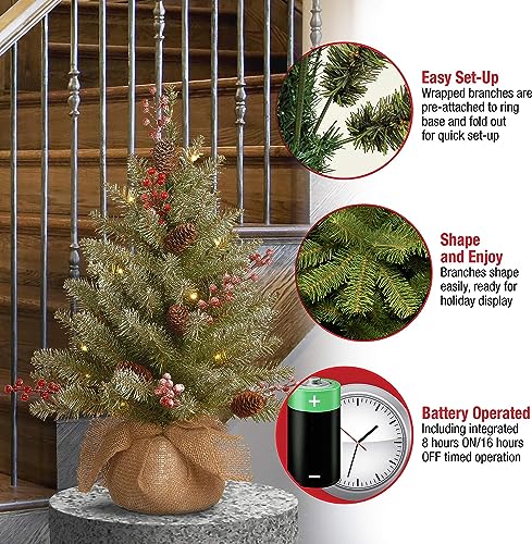 National Tree Company 2 ft Pre-Lit Flocked Dunhill Fir Mini Artificial Christmas Tree, 15 Clear LED Lights, 75 Tips, Pinecones, Red Berries, Timer, Burlap Base, Green