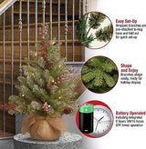 National Tree Company 2 ft Pre-Lit Flocked Dunhill Fir Mini Artificial Christmas Tree, 15 Clear LED Lights, 75 Tips, Pinecones, Red Berries, Timer, Burlap Base, Green