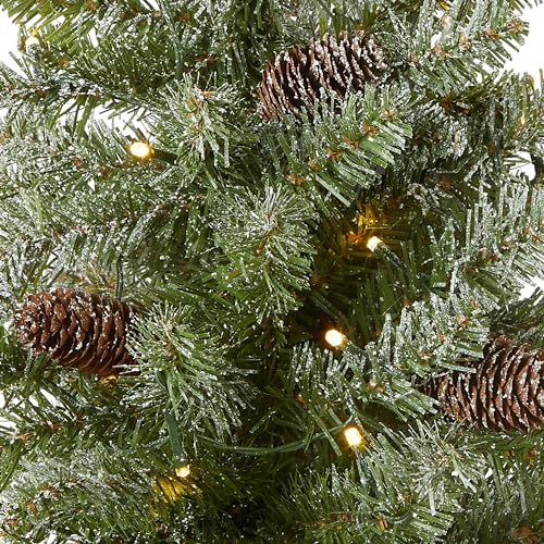 National Tree Company 2 ft Pre-Lit Flocked Mini Artificial Christmas Tree, 50 Clear LED Lights, 75 Tips, Pinecones, Burlap Base, Timer, Green