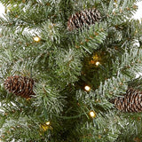 National Tree Company 2 ft Pre-Lit Flocked Mini Artificial Christmas Tree, 50 Clear LED Lights, 75 Tips, Pinecones, Burlap Base, Timer, Green