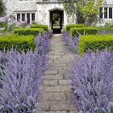GTIDEA 4pcs Artificial Flowers Fake Lavender Faux Purple Flocked Plastic Flowers Plants for Home Wedding Kitchen Garden Patio Window Box Office Table Centerpieces Indoor Outdoor Décor