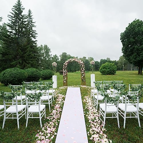 Tatuo Carpet Runner 2.46 x 30 ft Runway Rug 55 GSM Thickness with Carpet Tape for Prom Graduation Wedding Outdoor Indoor Hallway Movie Party Decoration Rug(2.46 x 30 Feet,Glitter White)