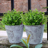 8 Bundles Outdoor Artificial Boxwood UV Resistant Fake Stems Plants, Faux Plastic Greenery for Indoor Outside Hanging Plants Garden Porch Window Box Home Wedding Farmhouse Décor